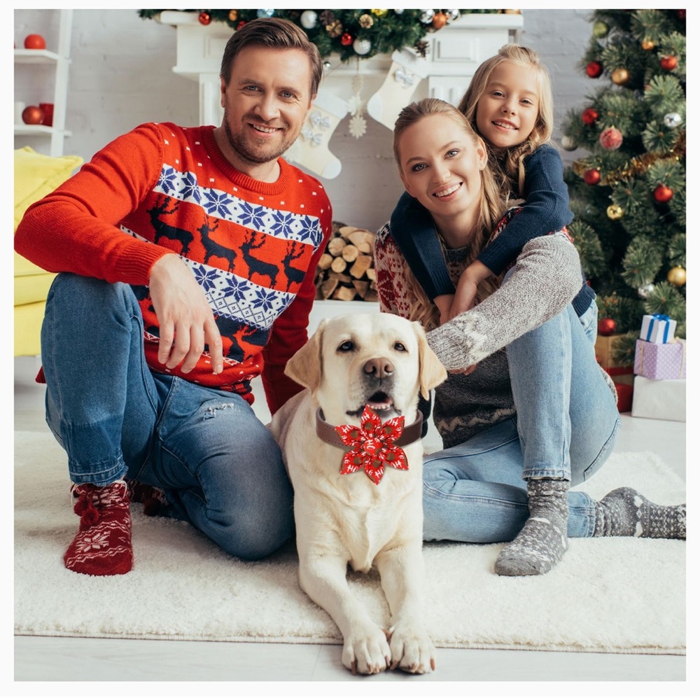 Pet Collar Bows/Decor Adorable Holiday Christmas New!